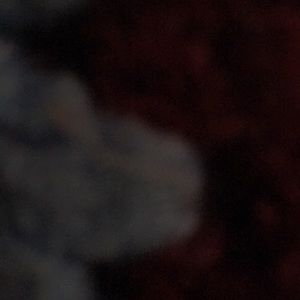 Meet your Posher, Omari